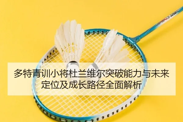 多特青训小将杜兰维尔突破能力与未来定位及成长路径全面解析